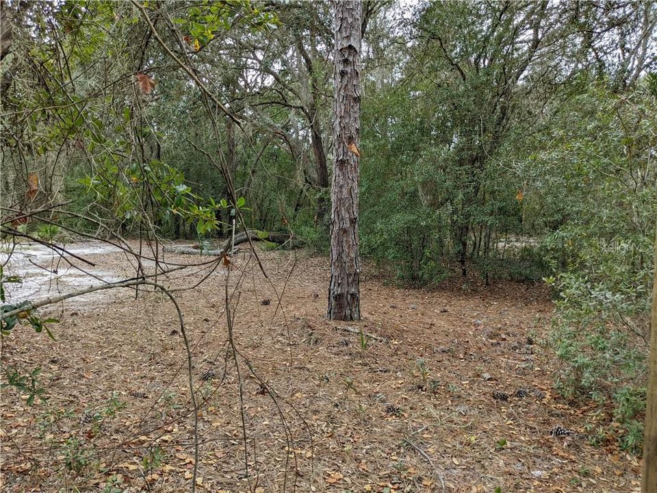 For Sale: $21,999 (0.22 acres)