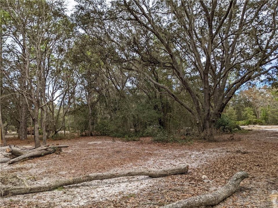 For Sale: $21,999 (0.22 acres)