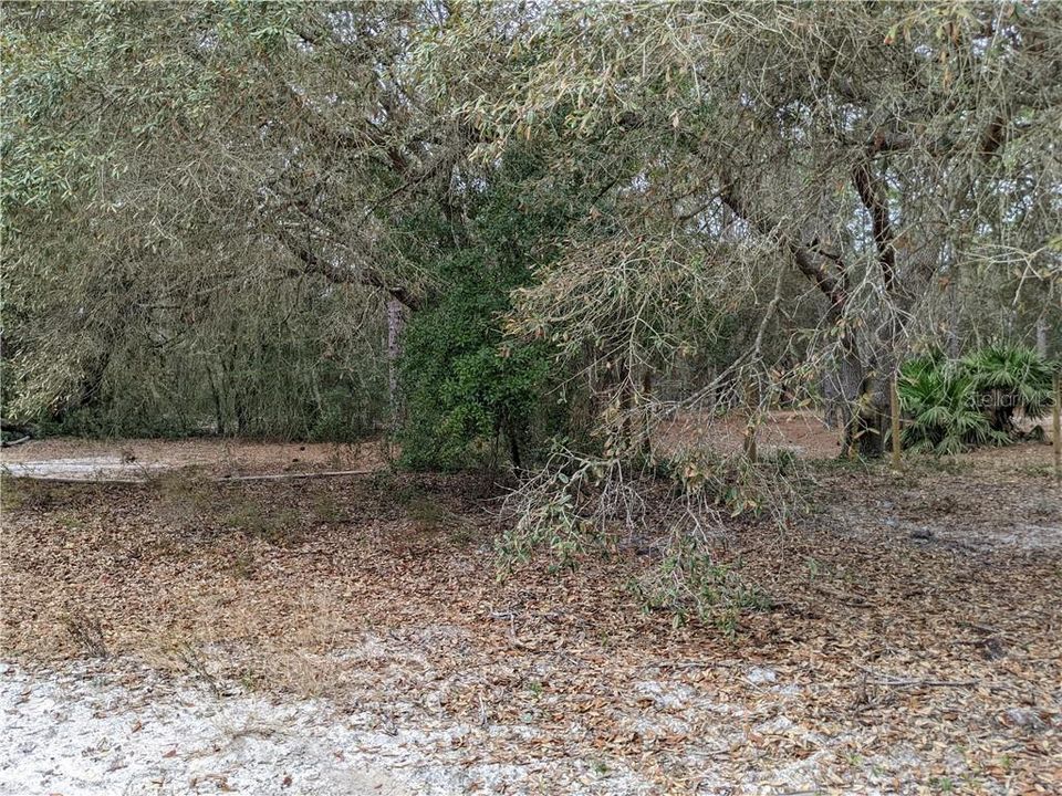 For Sale: $21,999 (0.22 acres)