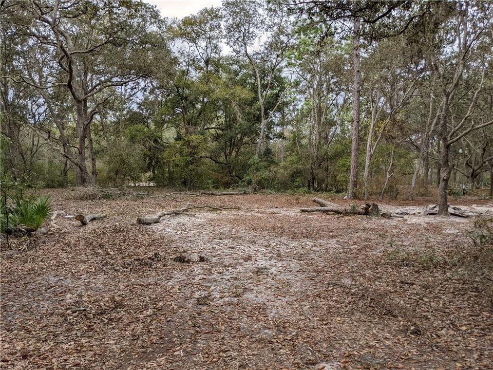 For Sale: $21,999 (0.22 acres)