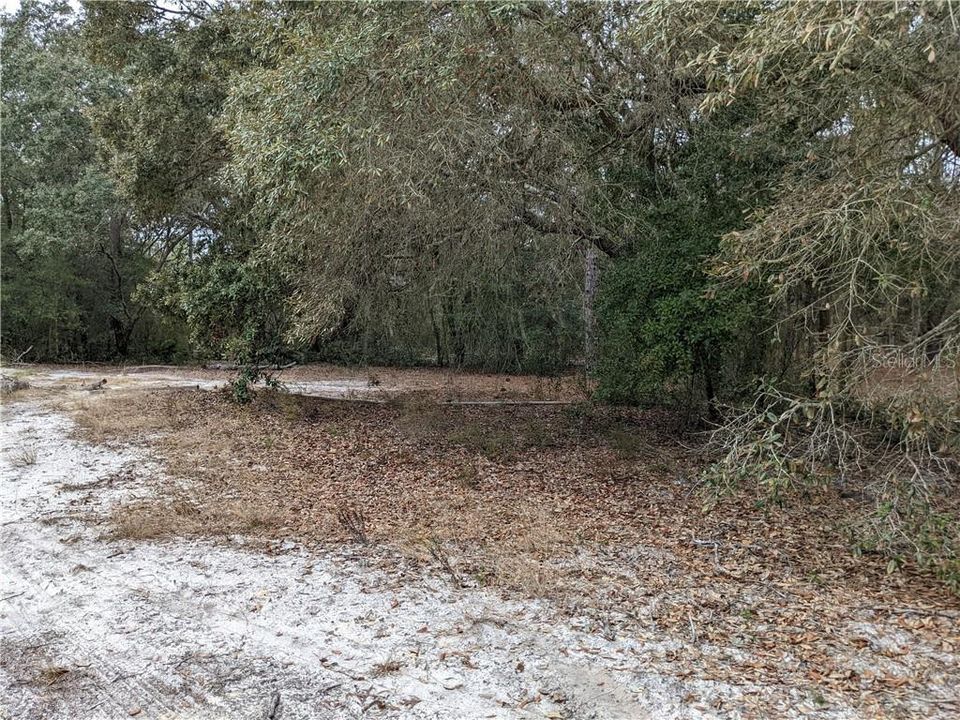 For Sale: $21,999 (0.22 acres)