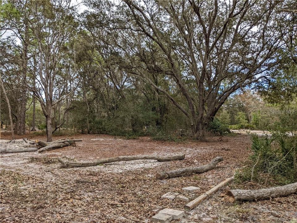 For Sale: $21,999 (0.22 acres)