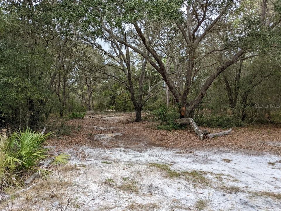 For Sale: $21,999 (0.22 acres)