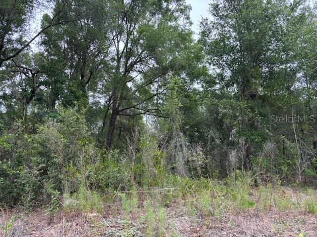 For Sale: $19,000 (0.22 acres)