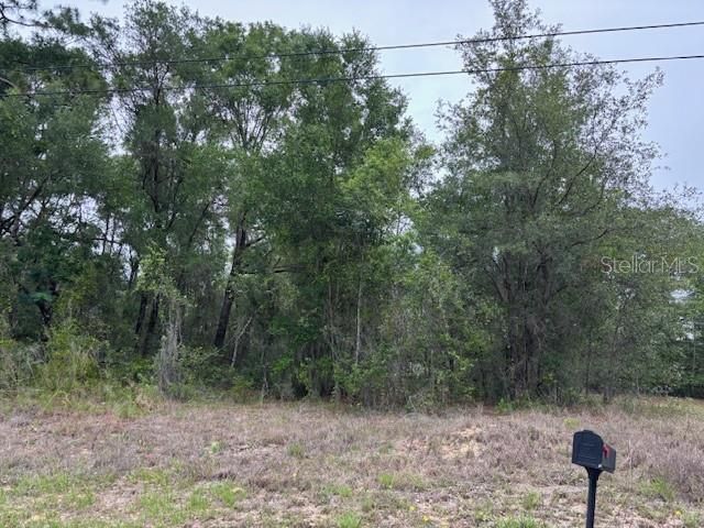 For Sale: $19,000 (0.22 acres)