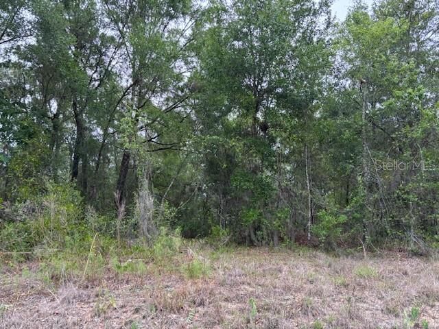 For Sale: $19,000 (0.22 acres)