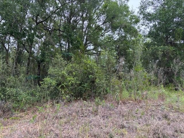 For Sale: $19,000 (0.22 acres)