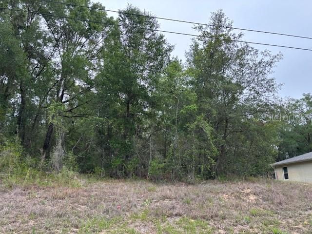 For Sale: $19,000 (0.22 acres)