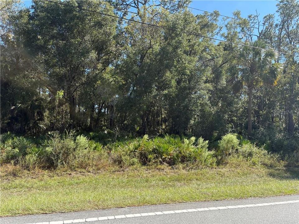 待售: $65,000 (0.69 acres)