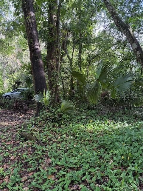 Недавно продано: $7,000 (0.12 acres)
