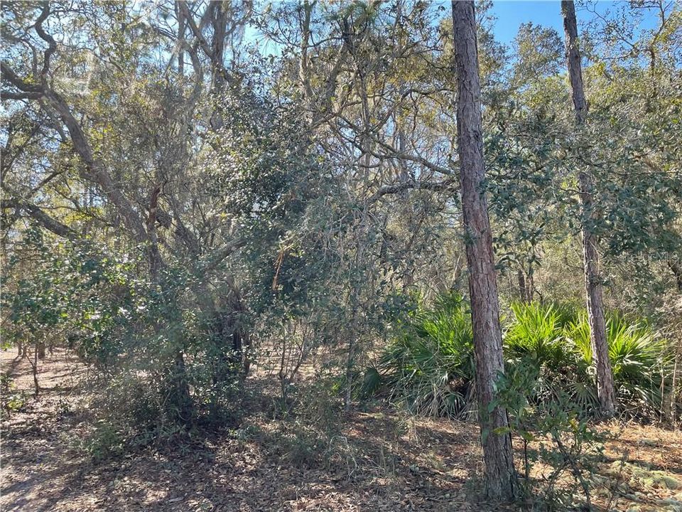 待售: $9,000 (0.23 acres)
