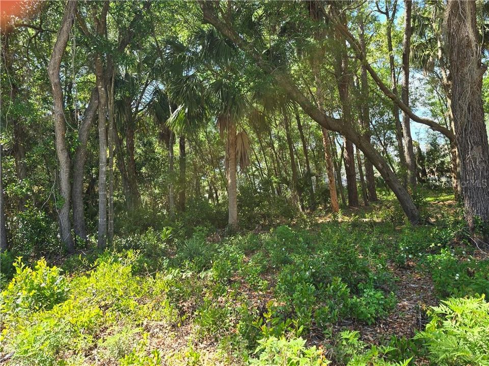 En Venta: $19,500 (0.24 acres)