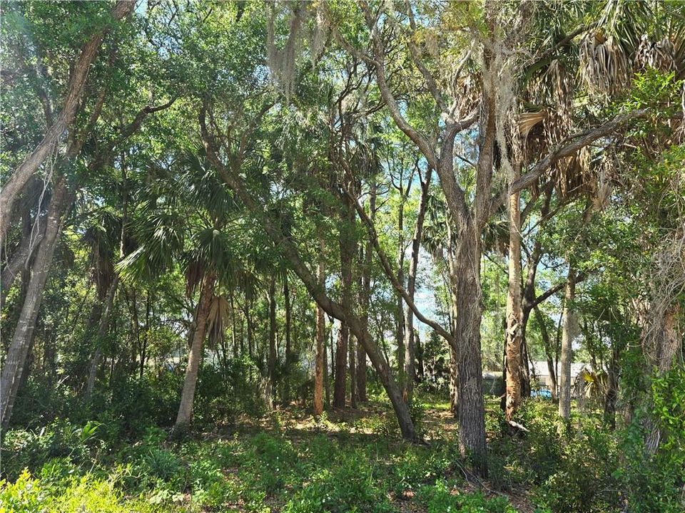 En Venta: $19,500 (0.24 acres)