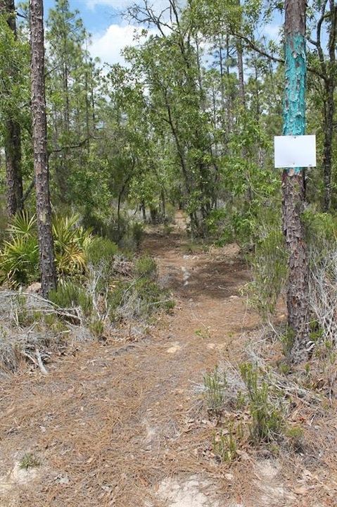 En Venta: $34,000 (2.50 acres)