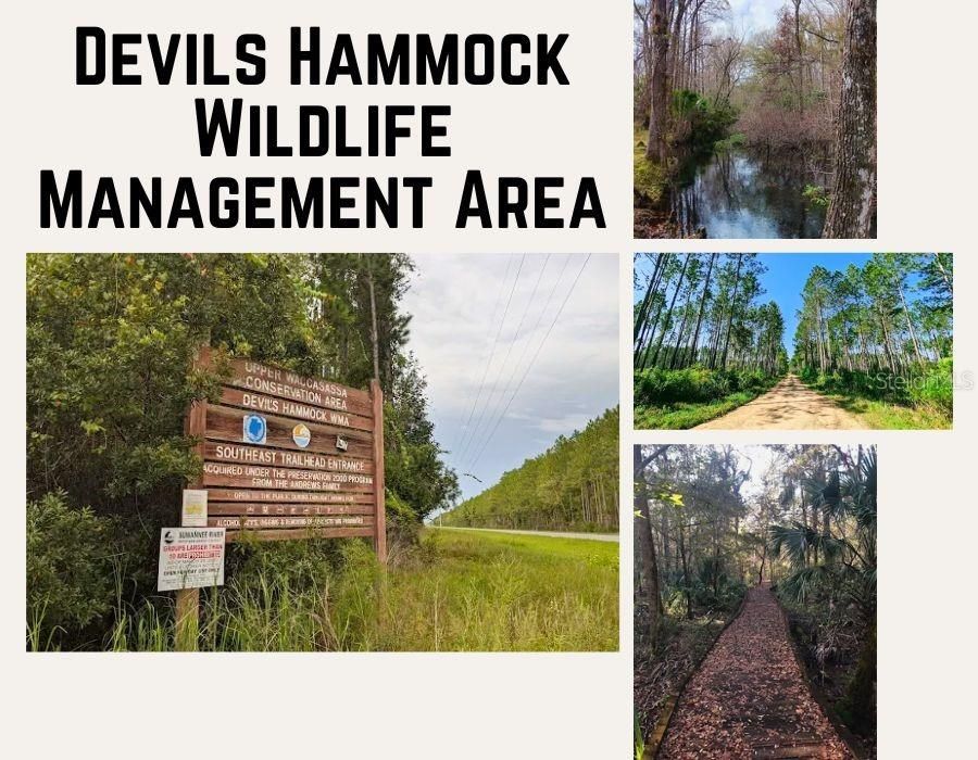En Venta: $34,000 (2.50 acres)