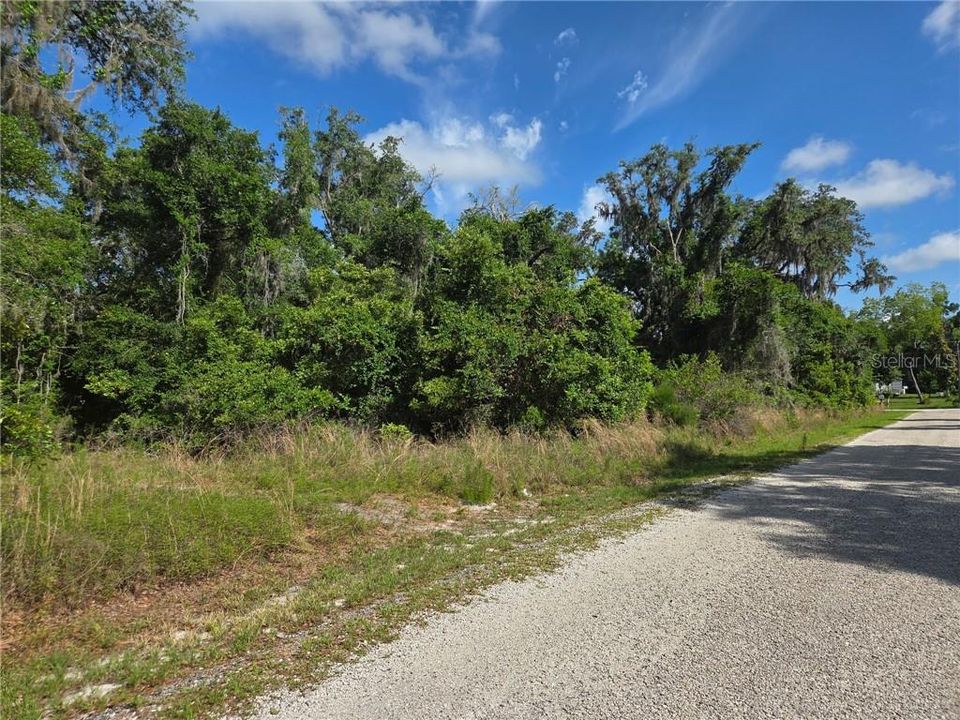 待售: $39,900 (1.80 acres)