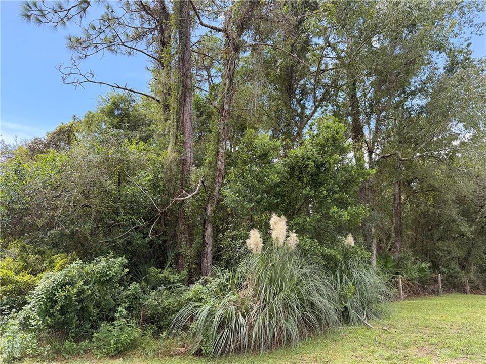 На продажу: $25,000 (0.51 acres)