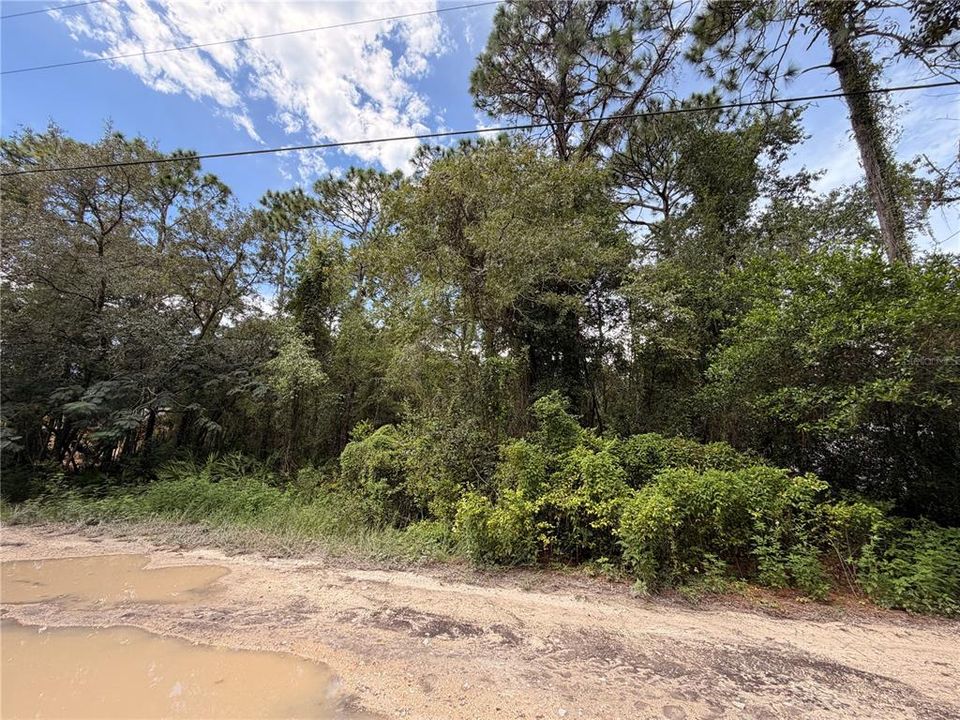 На продажу: $25,000 (0.51 acres)