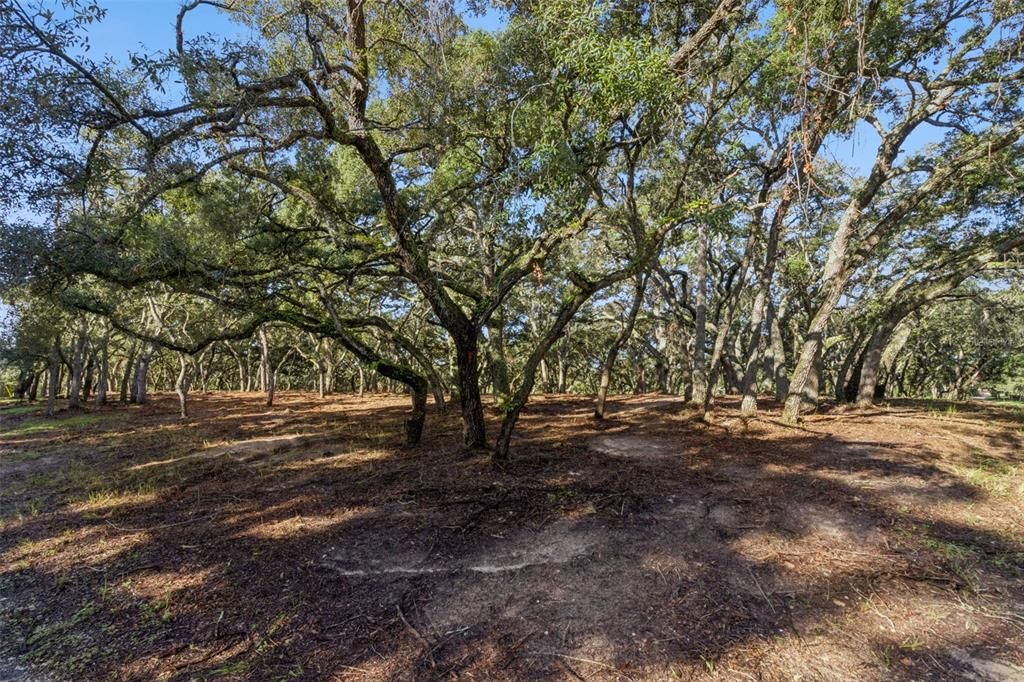 На продажу: $824,900 (2.49 acres)