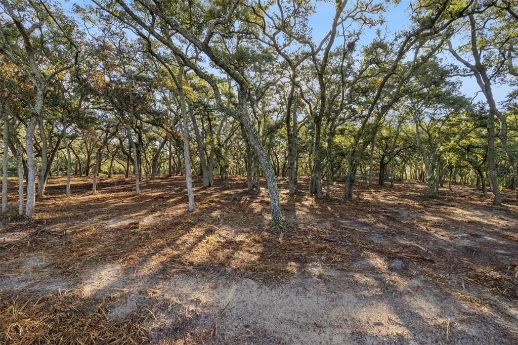 На продажу: $824,900 (2.49 acres)