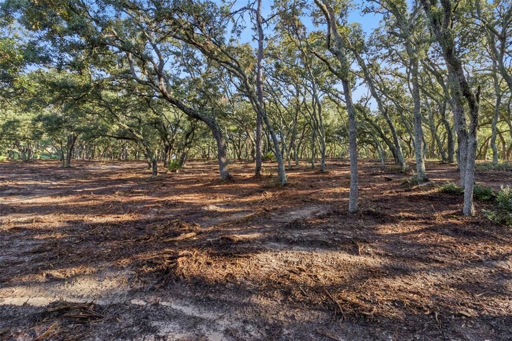 На продажу: $824,900 (2.49 acres)