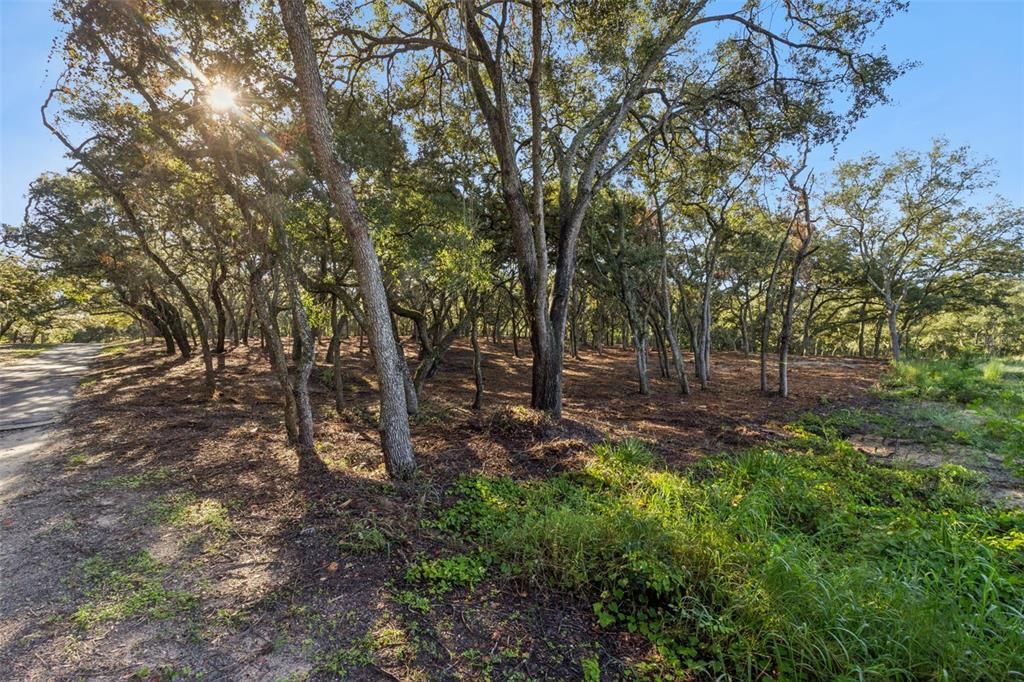 На продажу: $824,900 (2.49 acres)