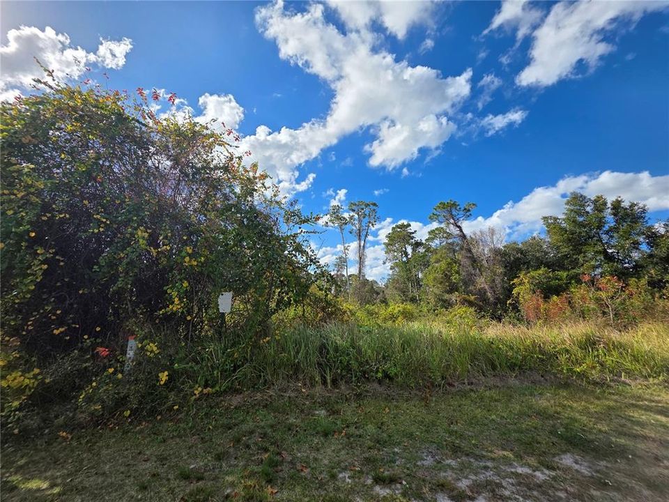 На продажу: $78,900 (0.85 acres)