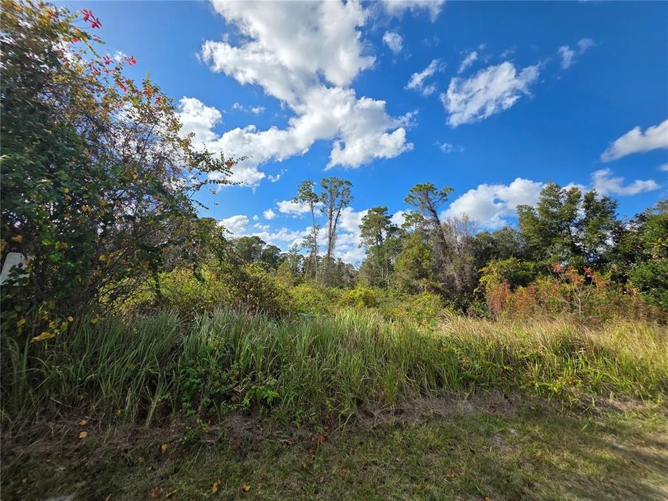 На продажу: $78,900 (0.85 acres)