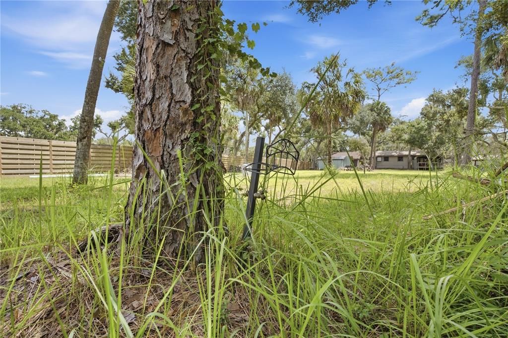 待售: $290,000 (0.90 acres)