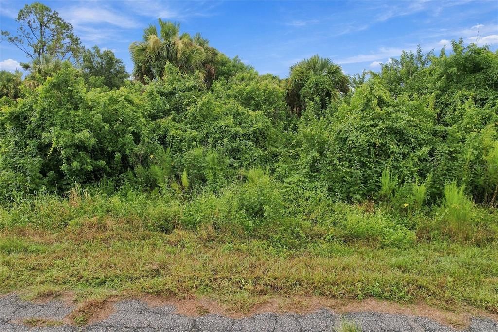 На продажу: $10,000 (0.23 acres)