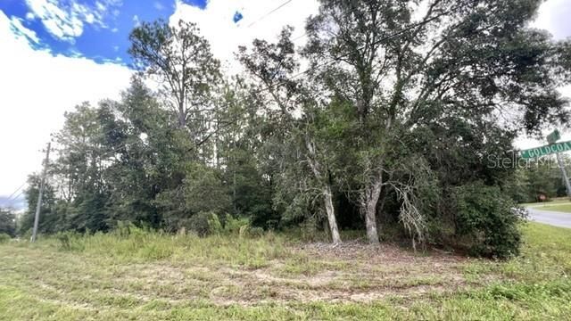 待售: $25,000 (0.31 acres)