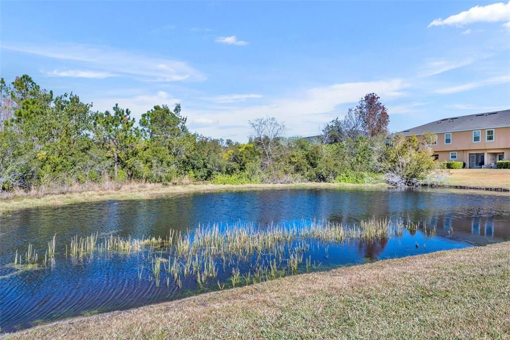 En Venta: $330,000 (3 camas, 2 baños, 1794 Pies cuadrados)