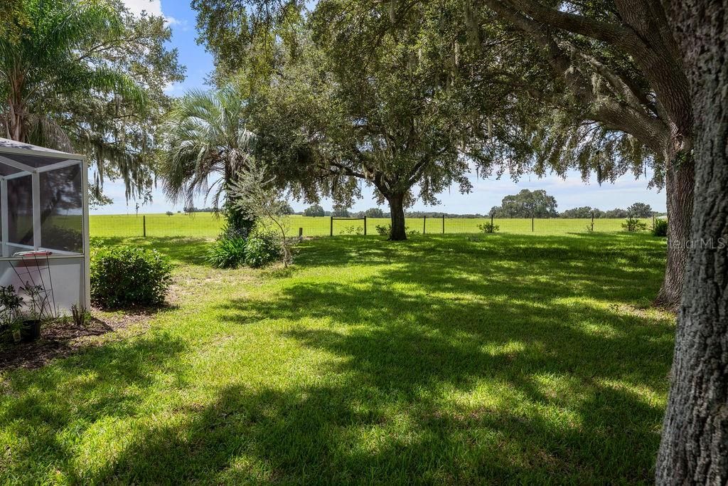 For Sale: $360,000 (3 beds, 2 baths, 1795 Square Feet)