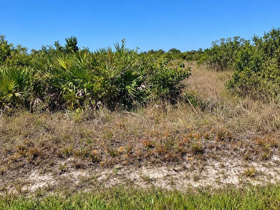 For Sale: $34,900 (1.25 acres)