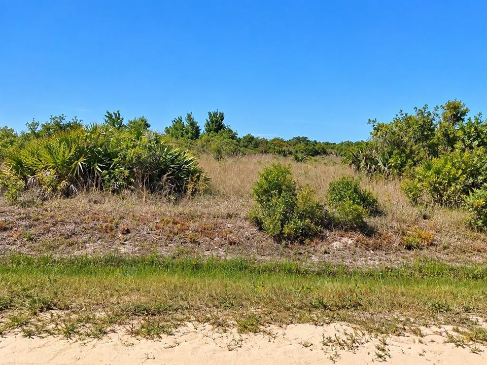 For Sale: $34,900 (1.25 acres)
