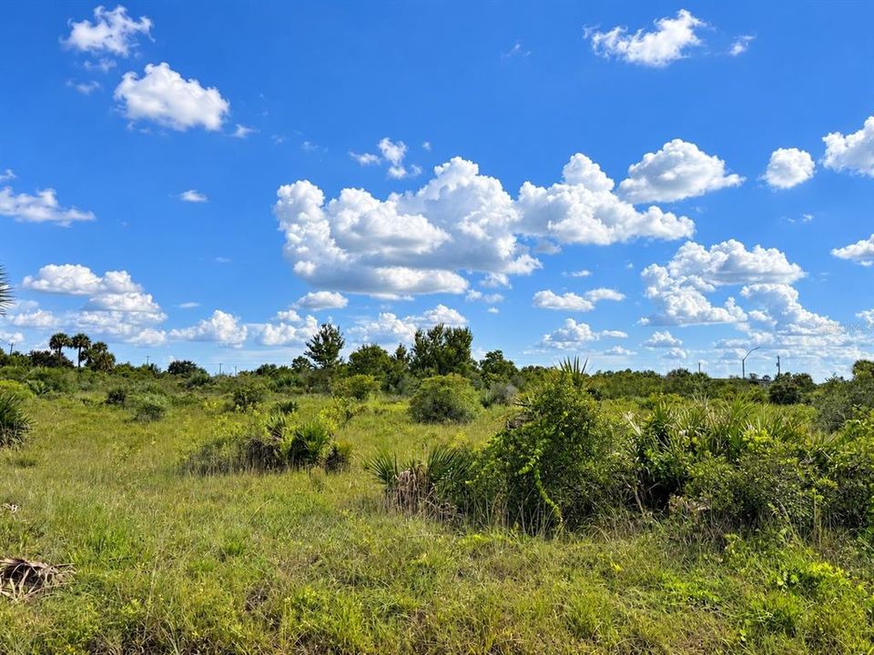 En Venta: $34,900 (1.25 acres)