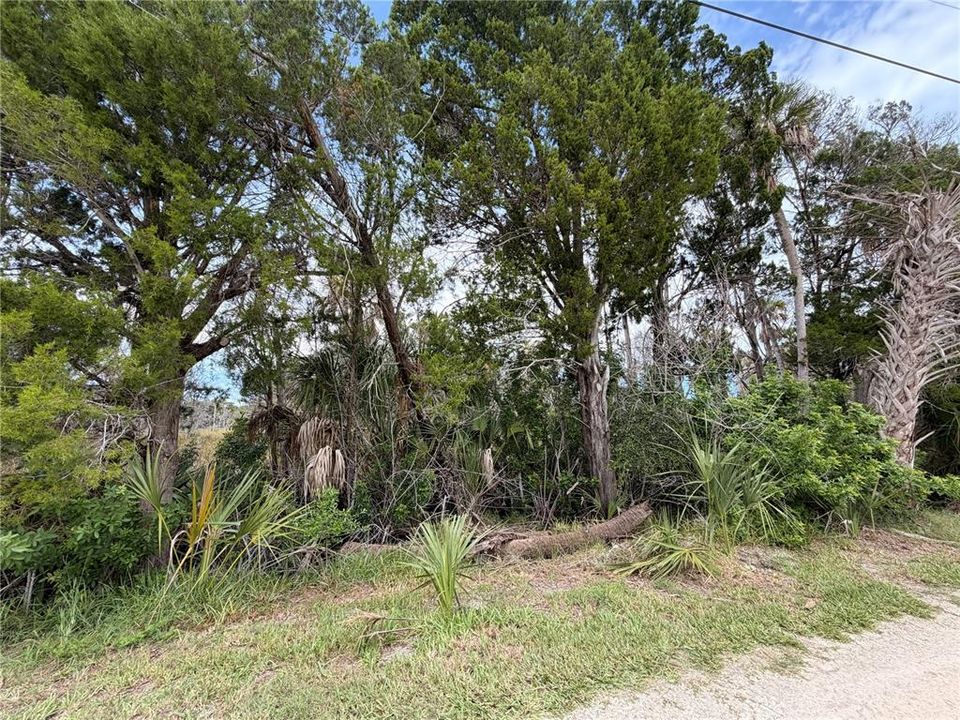 For Sale: $13,000 (0.23 acres)