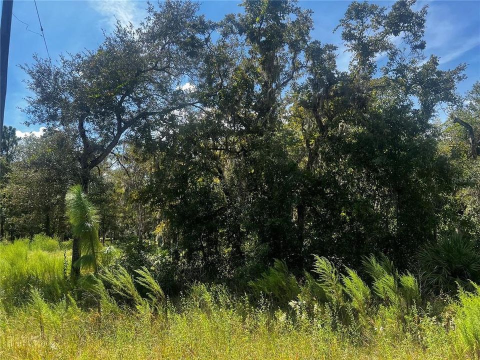For Sale: $44,300 (0.50 acres)