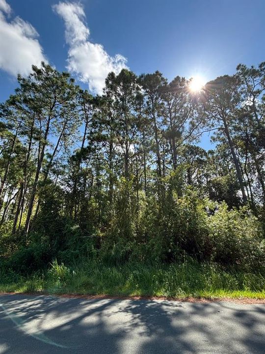 待售: $48,000 (0.23 acres)