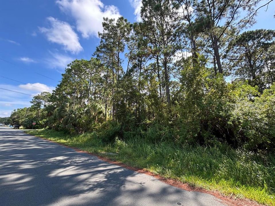 待售: $48,000 (0.23 acres)