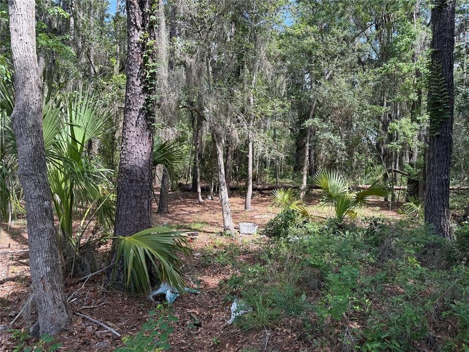 En Venta: $1,000 (2.61 acres)