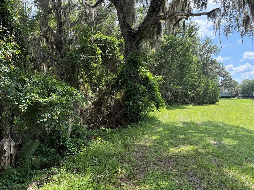En Venta: $1,000 (2.61 acres)