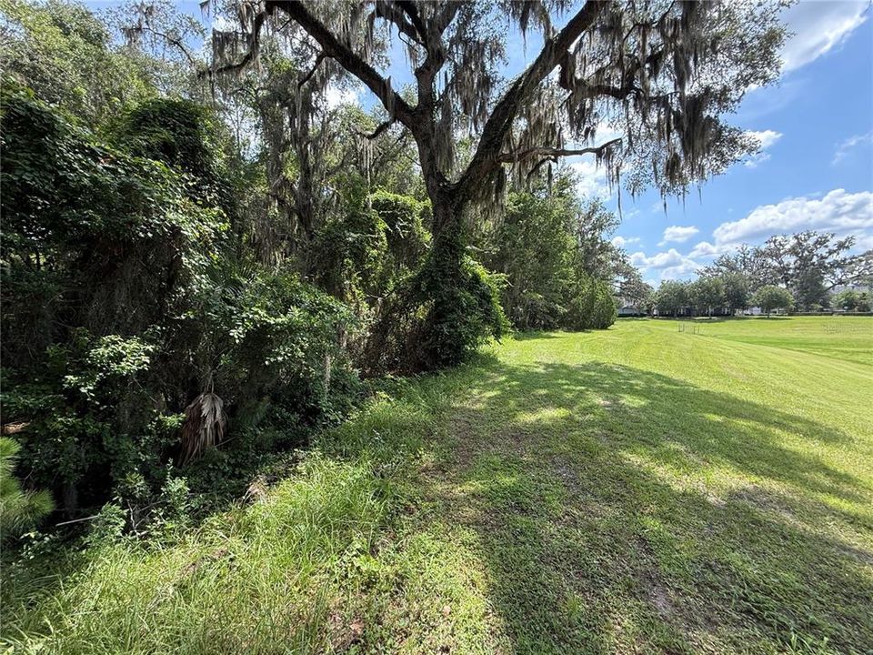 En Venta: $1,000 (2.61 acres)