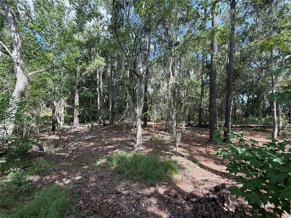 En Venta: $1,000 (2.61 acres)
