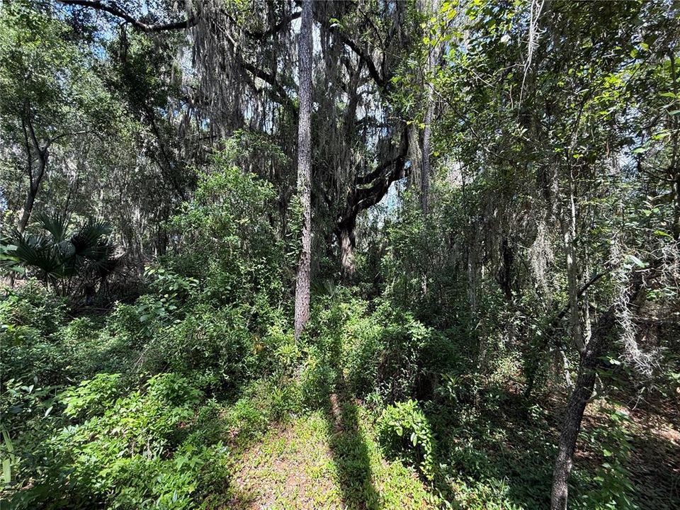 En Venta: $1,000 (2.61 acres)