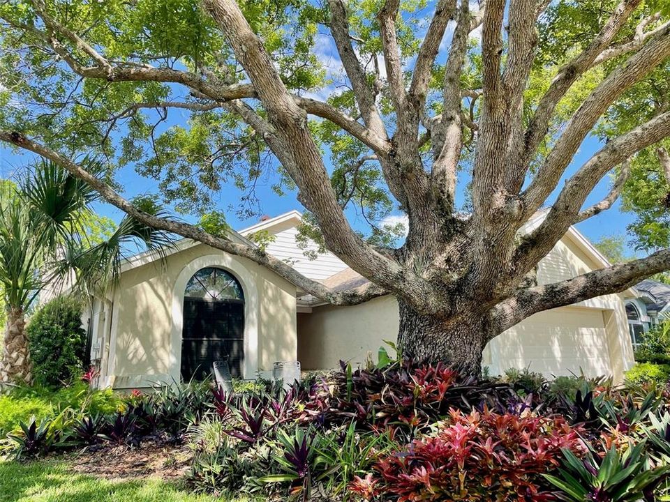 En Venta: $415,000 (3 camas, 2 baños, 1369 Pies cuadrados)