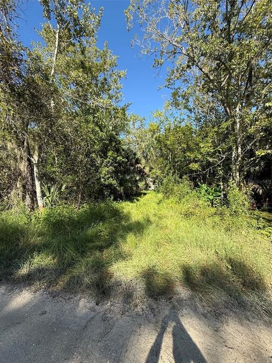 На продажу: $69,000 (1.25 acres)
