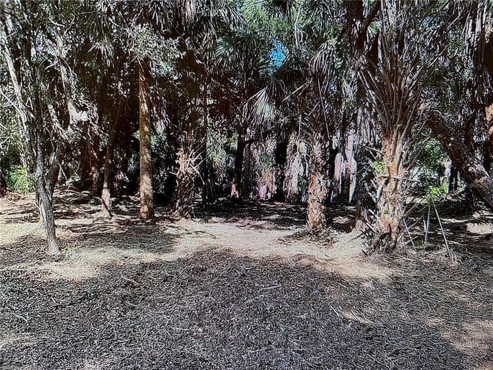 En Venta: $37,000 (0.37 acres)