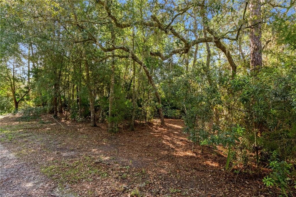For Sale: $229,000 (2 beds, 2 baths, 728 Square Feet)