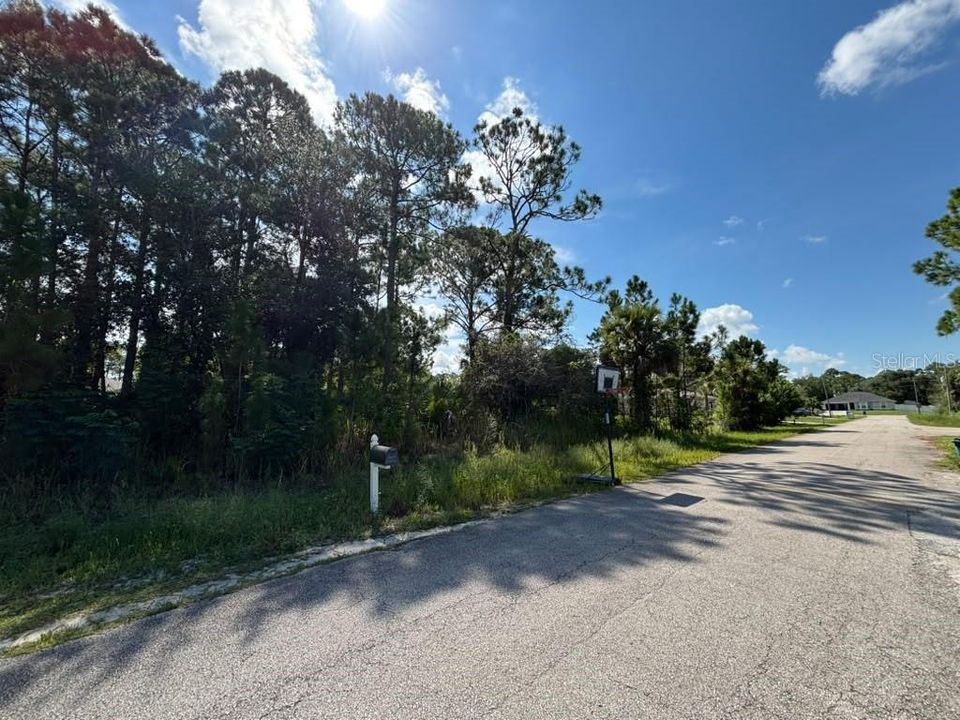For Sale: $45,000 (0.24 acres)